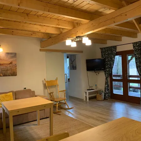 Villa Wooden House&pool Gdansk