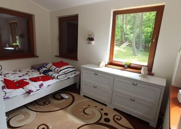 וילה Wooden House&pool גדנסק