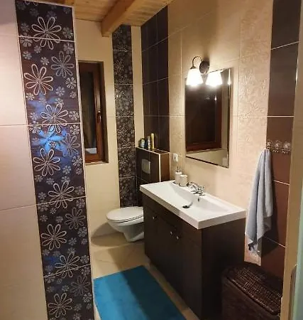 Wooden House&pool Villa Gdansk